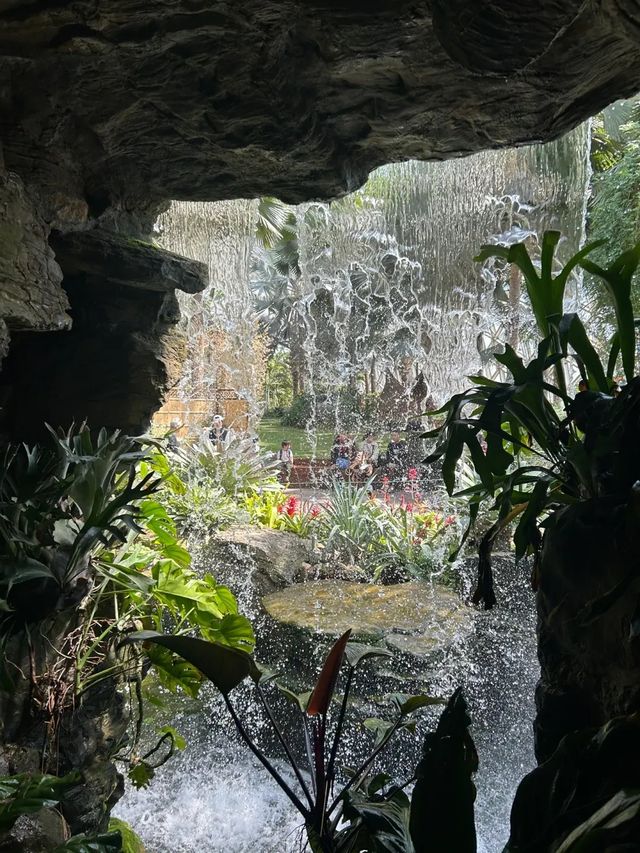 超全攻略！上海辰山植物園打卡指南