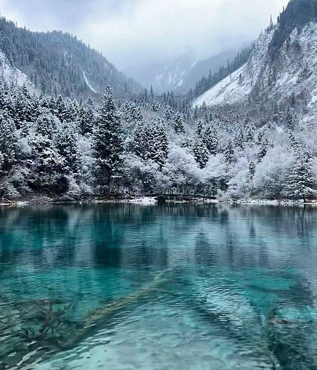 九寨溝開啟夢幻雪國模式 九寨溝開啟夢幻雪國模式