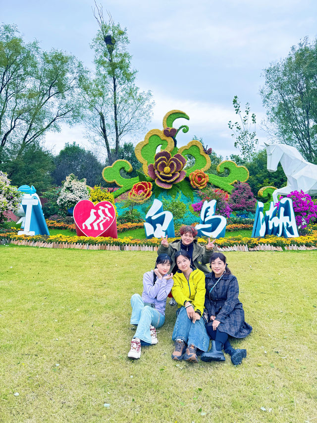 淮安白馬湖公園的菊花展
