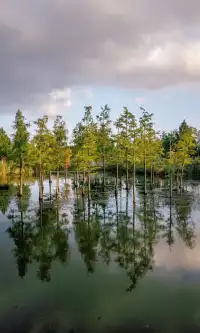 10.17上海小眾粉黛公園沒想到這麼美!!