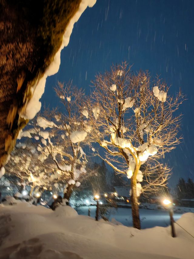 飛驒民俗村的那場大雪