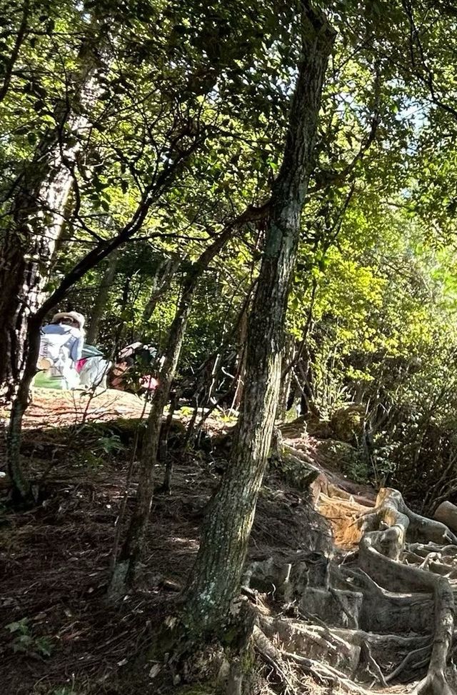武功山 武功山