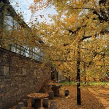 🍂시안 고관인선사의 가을, 천년 은행나무와의 만남 🏯