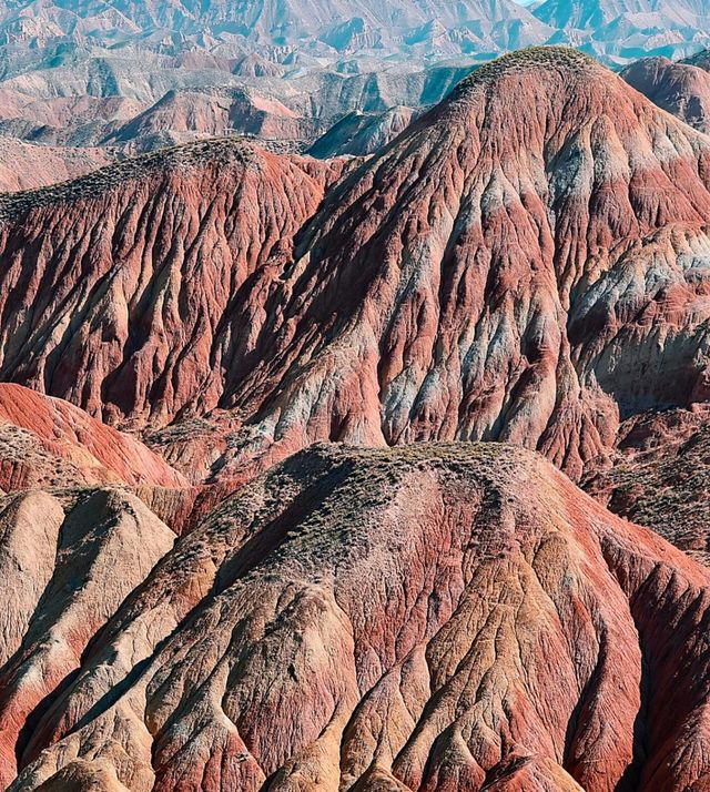 蘭州藏著會呼吸的“天然油畫”,最佳觀賞期僅30天 蘭州藏著會呼吸的“天然油畫”,最佳觀賞期僅30天