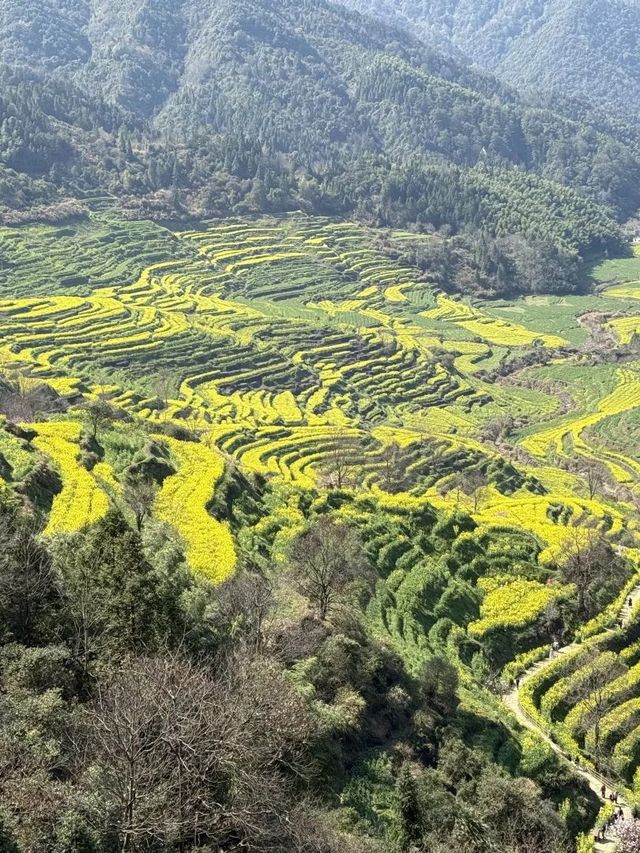 上饒1日包車遊這些地方美到失語