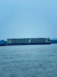 江城漫步，長江如畫 自然與人文的江景協奏曲