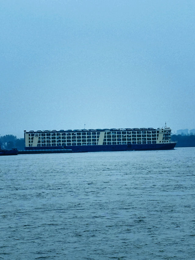 江城漫步，長江如畫 自然與人文的江景協奏曲