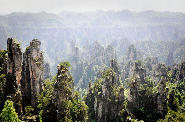 《阿凡達》拍得太保守了！武陵源才是真正的潘多拉星球！