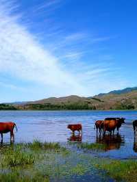 忻州1天包車遊 打卡超美景點