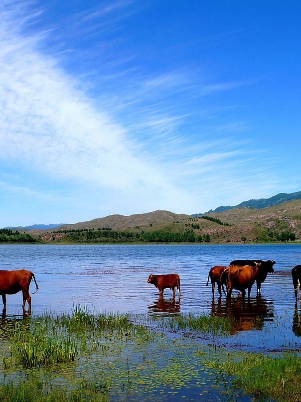 忻州1天包車遊 打卡超美景點 忻州1天包車遊 打卡超美景點