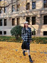 西安市區0元賞秋!索菲特銀杏大道地鐵直達的歐式浪漫