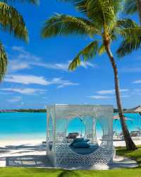 七日幻夢：我的波拉波拉漂浮日記