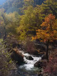 終於有4k實況原畫功能啦