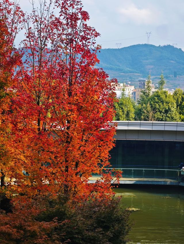 小眾玩法大公開 小眾玩法大公開