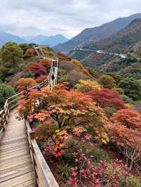 免費紅葉秘境指南