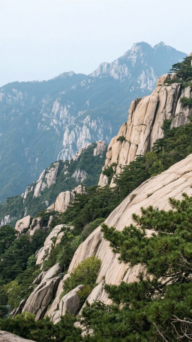 山東寶藏之旅 | 這篇攻略全搞定