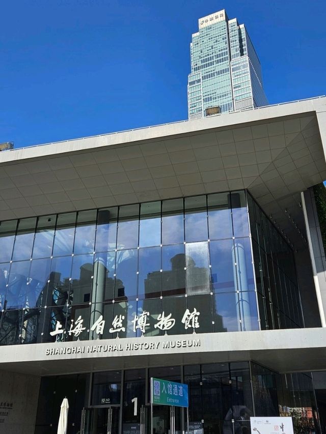 Shanghai Natural History Museum: Dinosaur Vibes & Stunning Artwork 🦖🦋 Shanghai Natural History Museum: Dinosaur Vibes & Stunning Artwork 🦖🦋