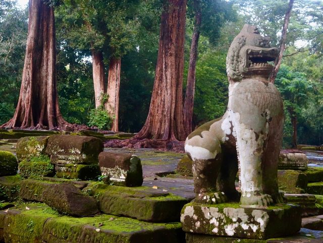 Climbing the Towers: A Memorable Friday Experience