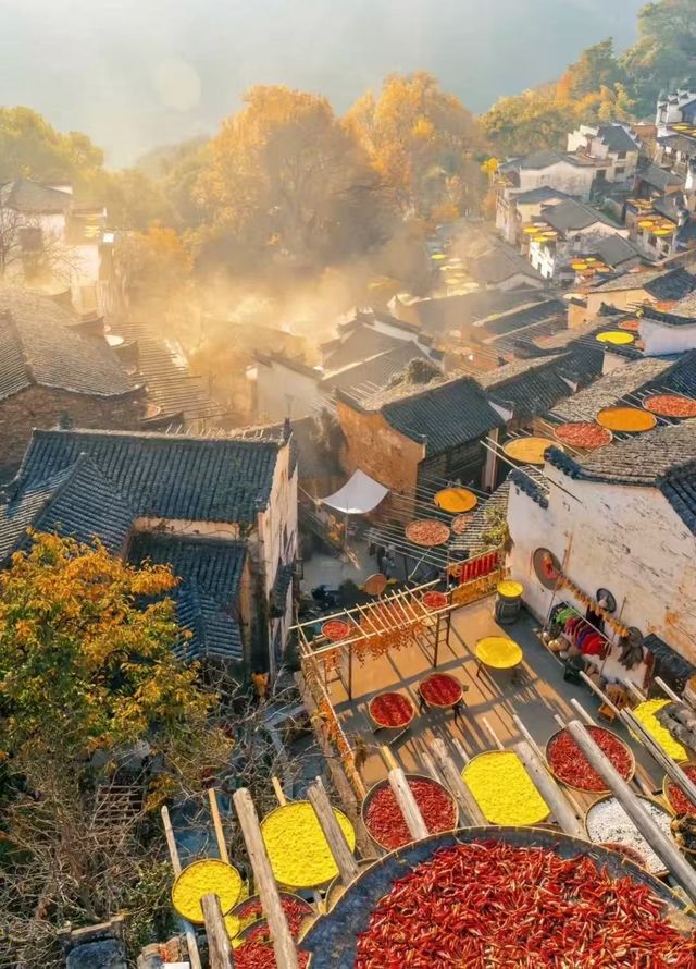 被《國家地理》評為最美古村的秋天有多絕