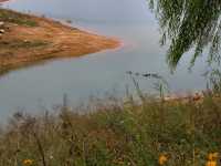 郴州東江湖白廊景區的美景