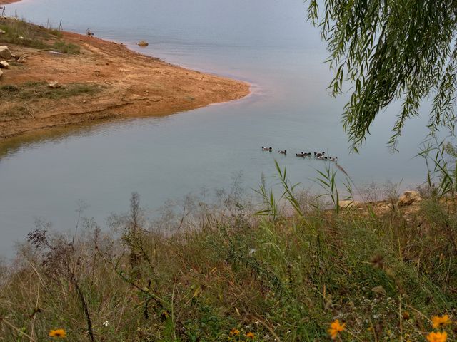 郴州東江湖白廊景區的美景