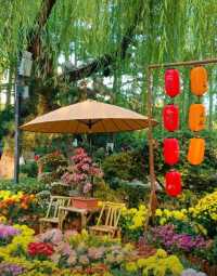 濟南趵突泉賞菊記｜三股清流滿園秋色太治癒了！