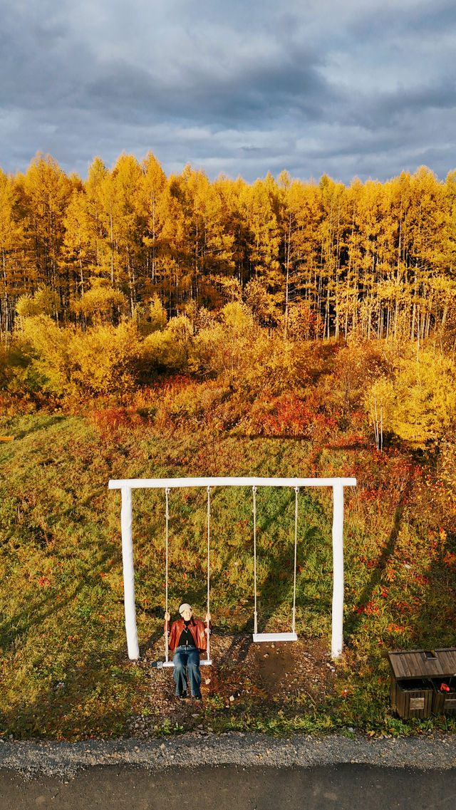 原來中國最冷的地方，竟然不是漠河