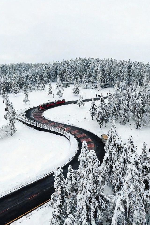 是童話裡的雪景啊,這裡美哭了! 是童話裡的雪景啊,這裡美哭了!
