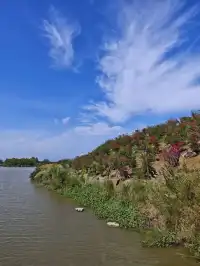 南灣花鎮，一定要來！！！