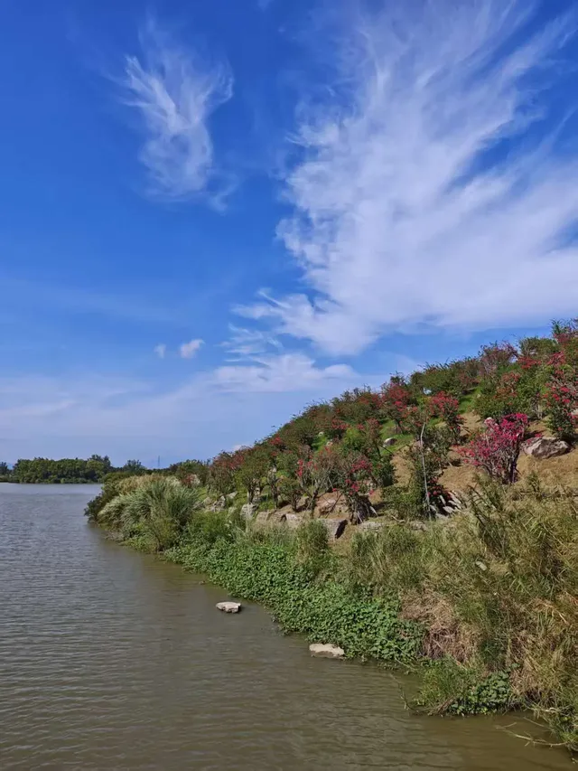 南灣花鎮，一定要來！！！