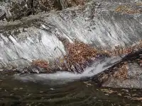 2025年11月16日廣元唐家河