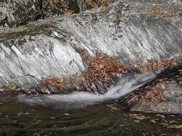 2025年11月16日廣元唐家河