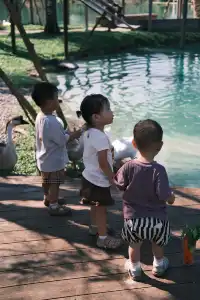 萬寧半日遊 | 打卡超適合小寶寶的牧場