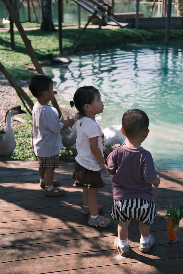萬寧半日遊 | 打卡超適合小寶寶的牧場