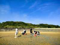 防城港小眾秘境避開人潮獨享整片海灘！