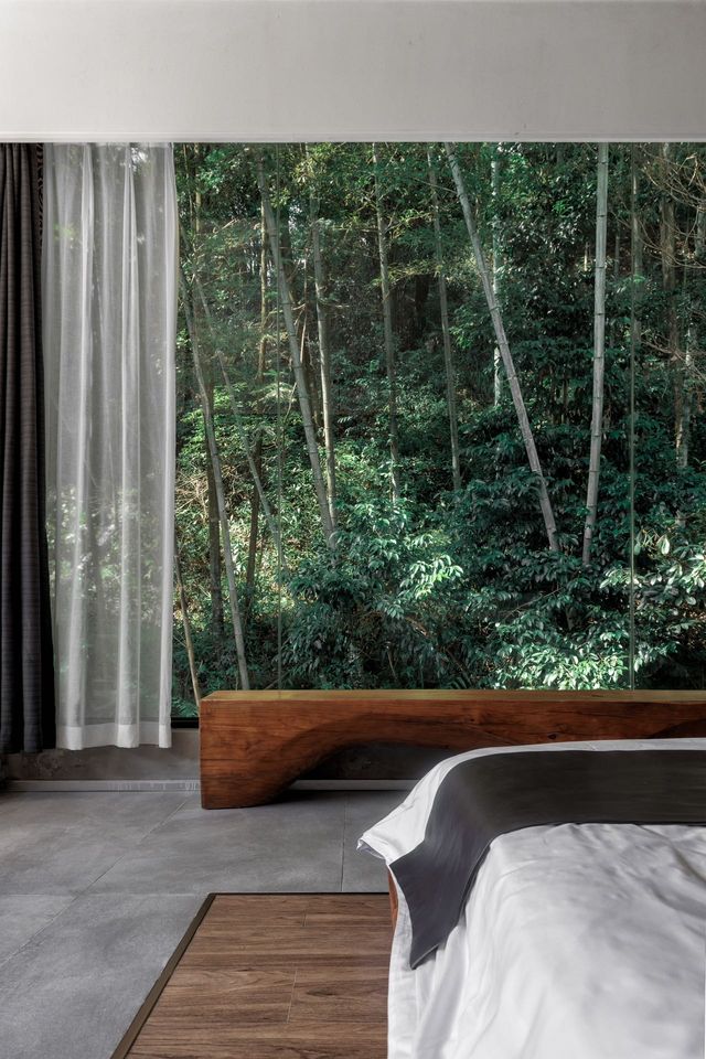 嶺南深秋別錯過！南崑竹海秘境慢享秋光