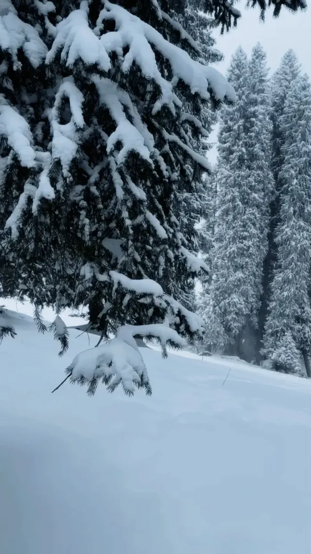 伊犁冬季遊|賽里木湖-庫爾德寧路線參考 伊犁冬季遊|賽里木湖-庫爾德寧路線參考