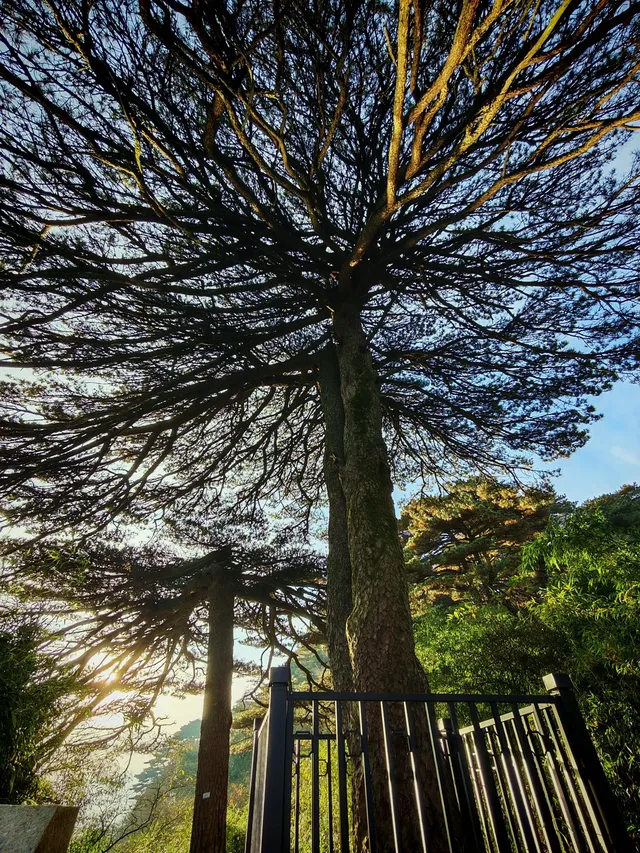 三清山奇遇記！誤打誤撞解鎖絕美晴天