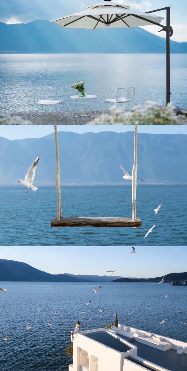 大理私藏!在洱海風中蕩秋千時,海鷗真的落在我肩上 大理私藏!在洱海風中蕩秋千時,海鷗真的落在我肩上