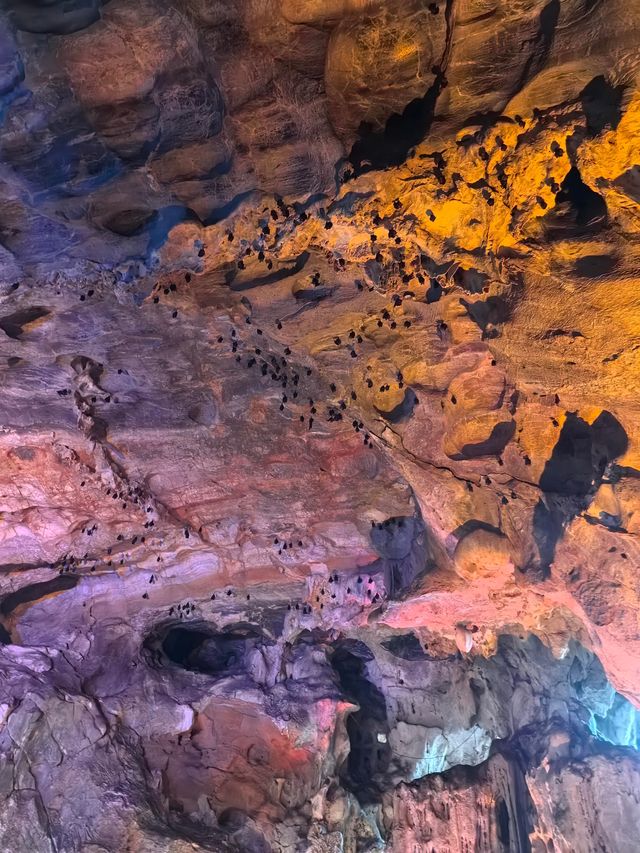 清遠寶晶宮｜溶洞奇觀冠嶺南 天鵝湖畔享悠閒