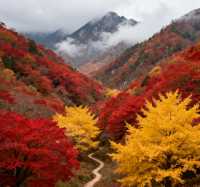 秋季徒步天花板｜黃陂屁屁溝，小眾秘境美到封神！