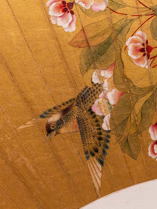 為了欣賞它，值得一去再去