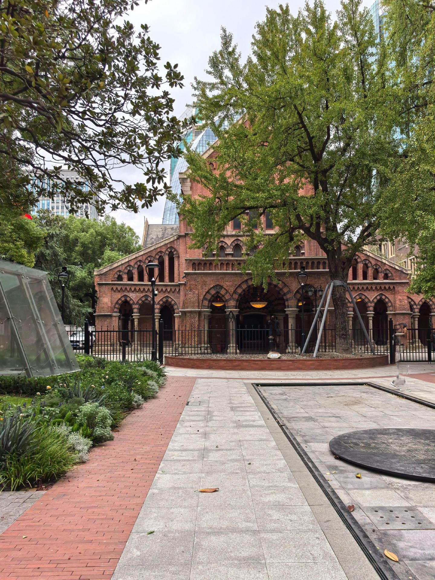 The Century-Old Ginkgo Tree in Front of Holy Trinity Church