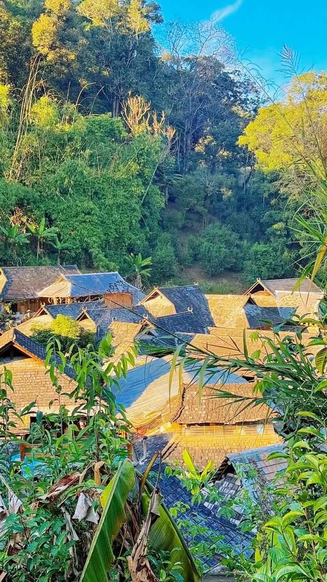 景邁山雲海古寨 | 闖入天空之境的絕美仙境
