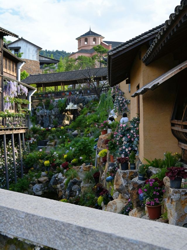 本以為要去大理才能找到的治癒感,沒想到 本以為要去大理才能找到的治癒感,沒想到