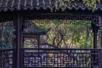 初冬念想｜在翁家花園邂逅一場銀杏雨下的時光靜止