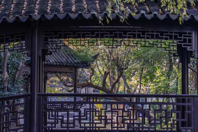 初冬念想｜在翁家花園邂逅一場銀杏雨下的時光靜止