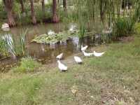 阜陽必去打卡點，夜景也超絕，阜陽人自己的花園