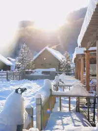 11.26實拍冬天的阿勒泰真的美到封神!!