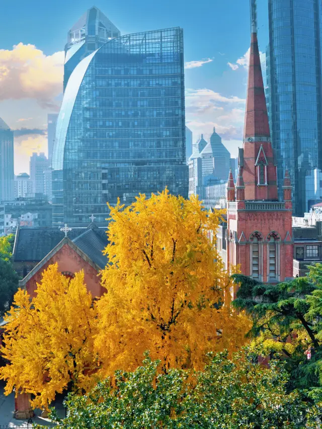 Shanghai Bund Ginkgo Viewing Route Without Detours for Photo Spots